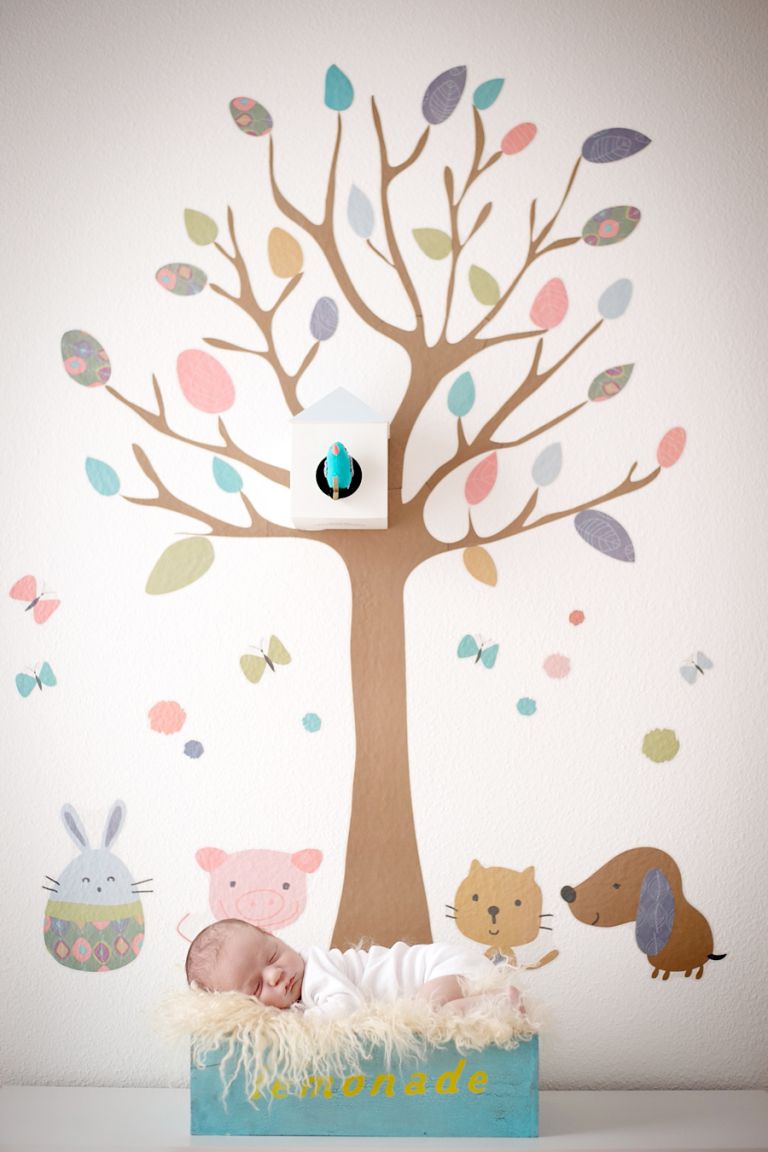 gandenheimer-Familie_Babiesdoris__0070