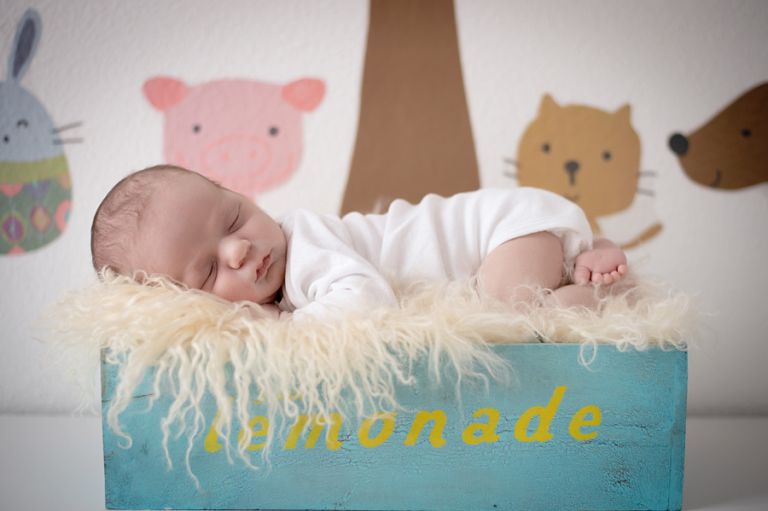 gandenheimer-Familie_Babiesdoris__0071